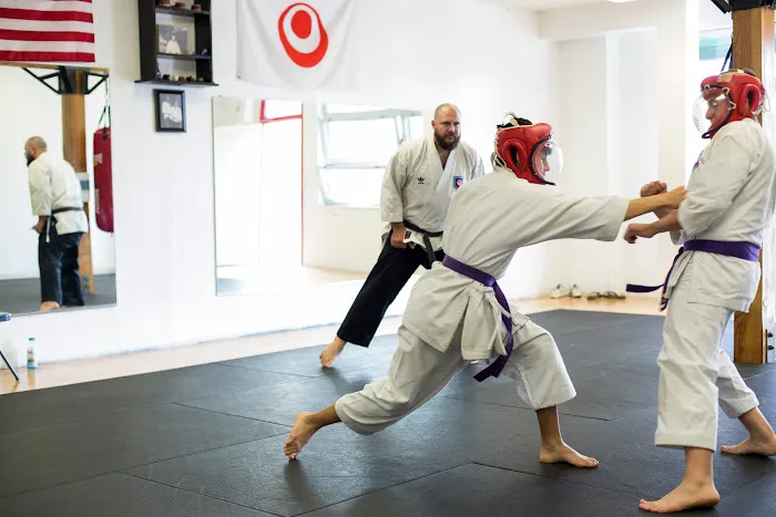 Koshiki Karate-Do Picture 3