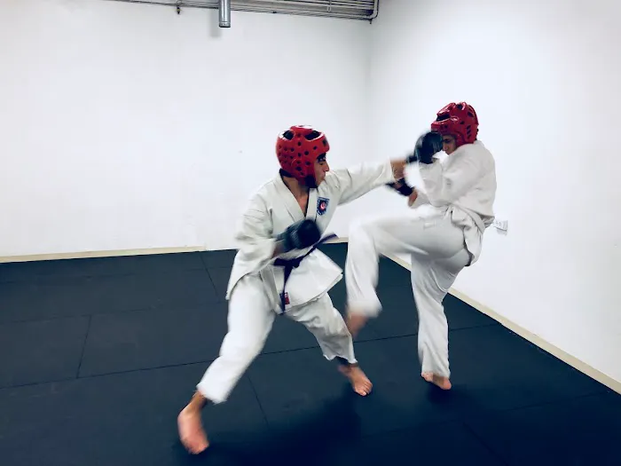 Koshiki Karate-Do Picture 8