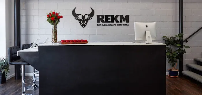 REKM - Roy Elghanayan's Krav Maga Picture 3