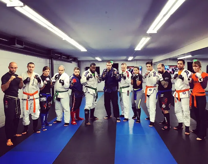 REKM - Roy Elghanayan's Krav Maga Picture 10