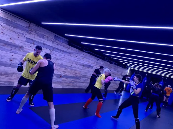 REKM - Roy Elghanayan's Krav Maga Picture 9