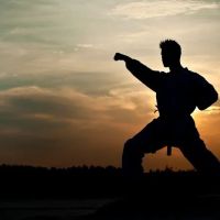 King's ATA Celebrity Martial Arts ico