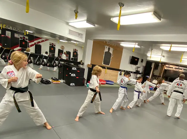 King's ATA Celebrity Martial Arts Picture 7