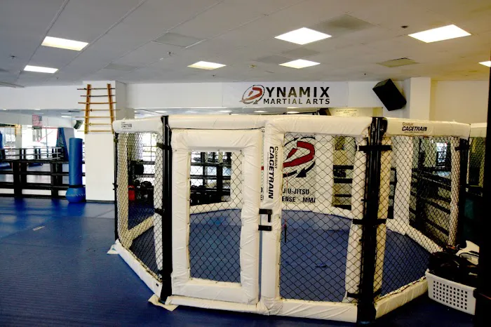 Dynamix MMA Picture 7