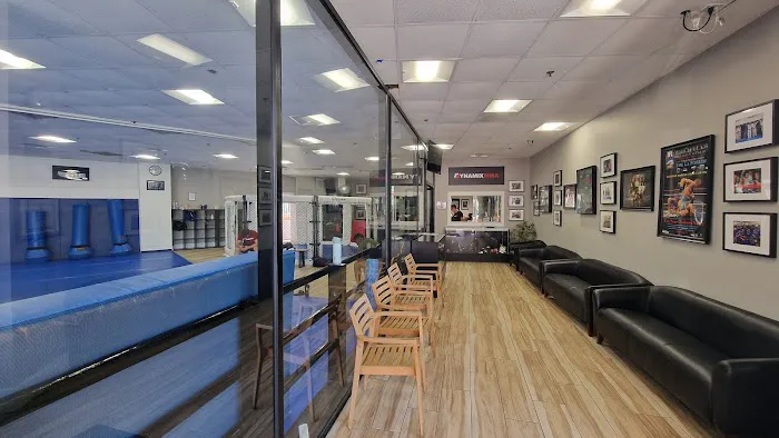 Dynamix MMA Picture 5