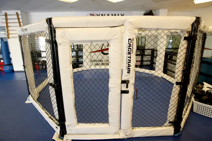 Dynamix MMA Picture 8