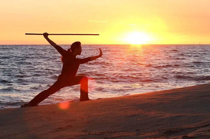 Emery Academy of Martial Arts Picture 2