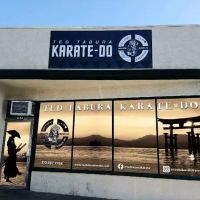 Ted Tabura Karate Do ico
