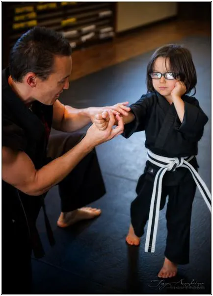 The Way of the Shadow Martial Arts Academy Picture 3