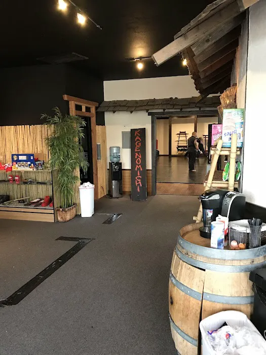 The Way of the Shadow Martial Arts Academy Picture 2