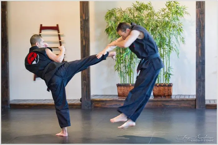 The Way of the Shadow Martial Arts Academy Picture 6