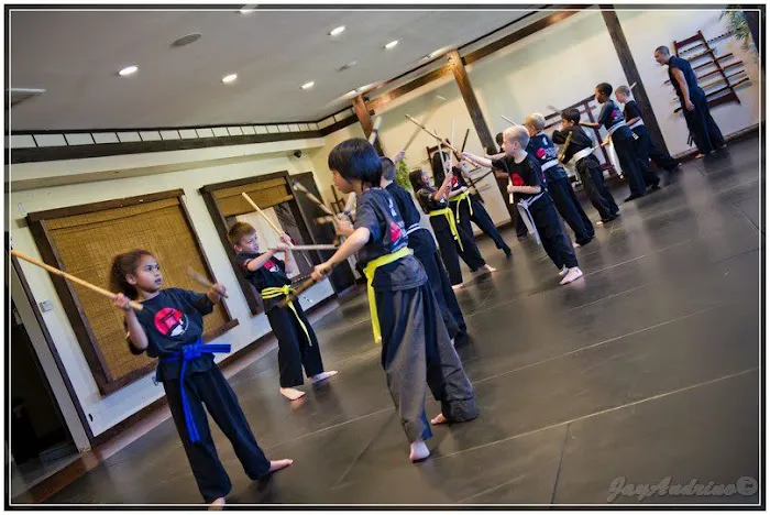 The Way of the Shadow Martial Arts Academy Picture 5