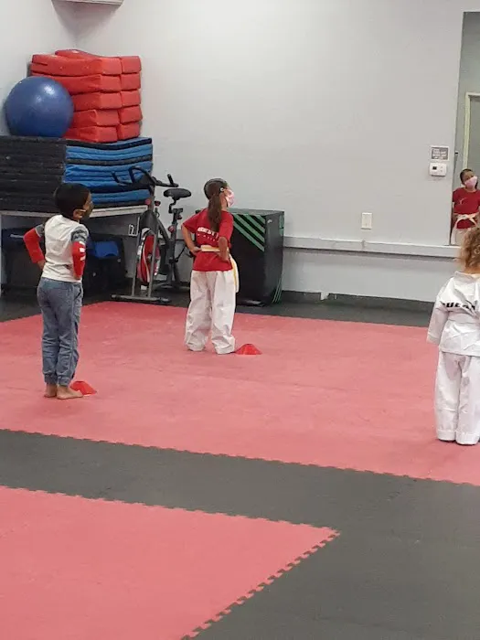 Quest Taekwondo Picture 4