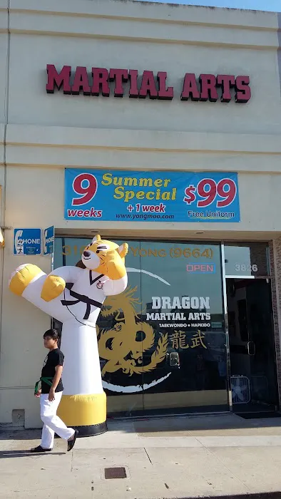 Dragon Martial Arts Picture 1