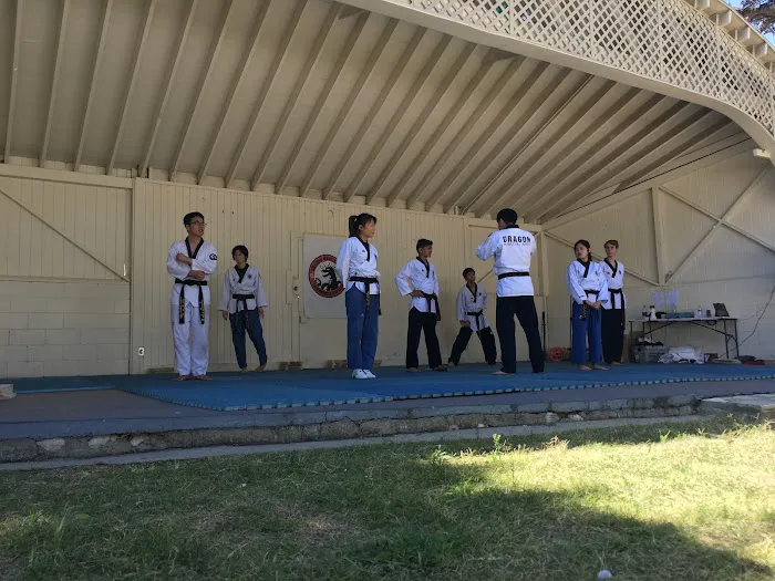 Dragon Martial Arts Picture 3