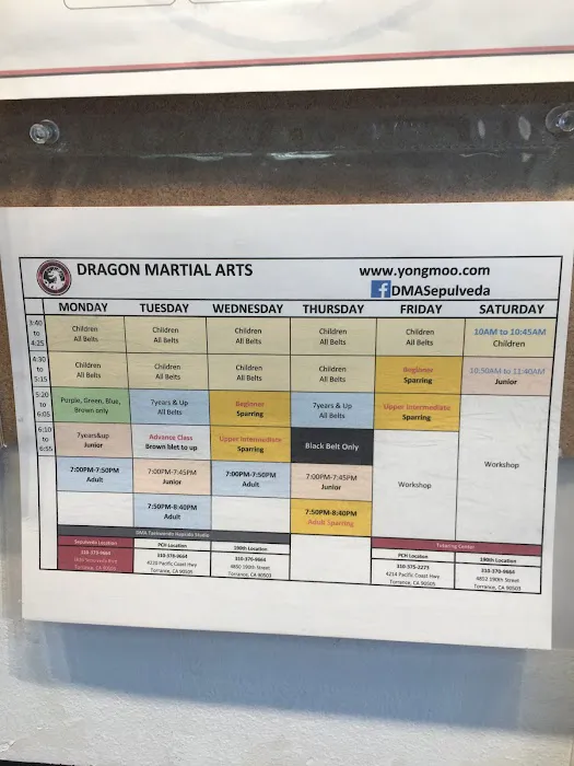 Dragon Martial Arts Picture 5