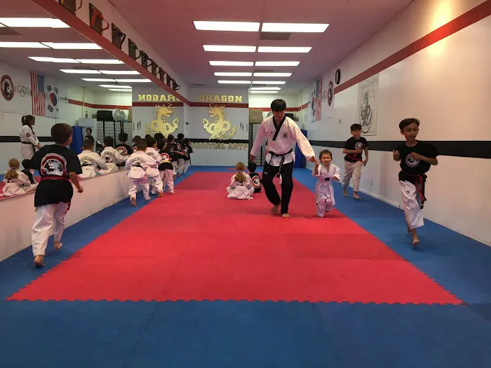 Dragon Martial Arts Picture 6