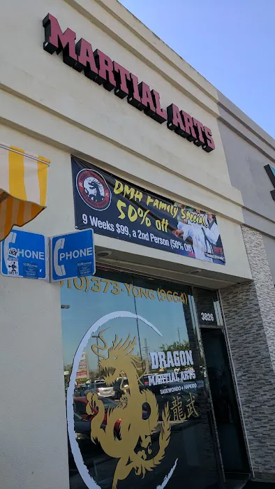 Dragon Martial Arts Picture 10