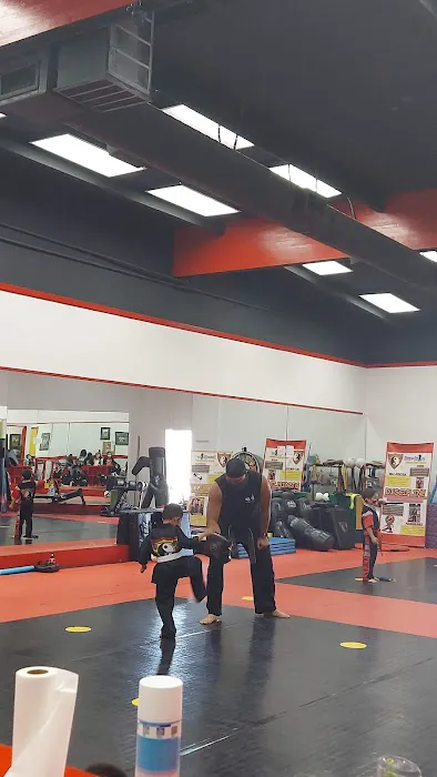 Power of One Martial Arts and Fitness Picture 4