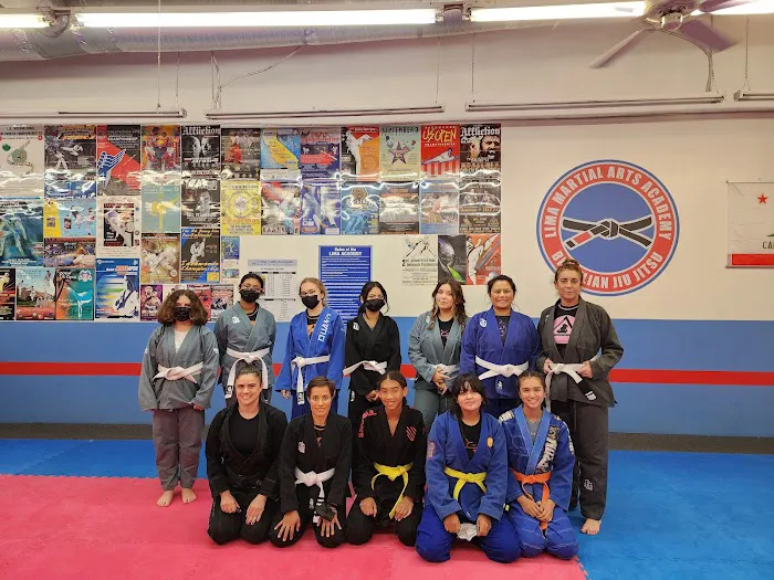 Lima Taekwondo & Brazilian Jiu Jitsu Academy Picture 2