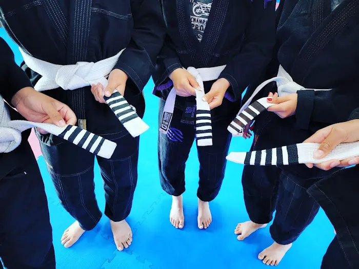 Lima Taekwondo & Brazilian Jiu Jitsu Academy Picture 7
