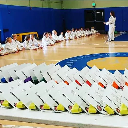 Lima Taekwondo & Brazilian Jiu Jitsu Academy Picture 5