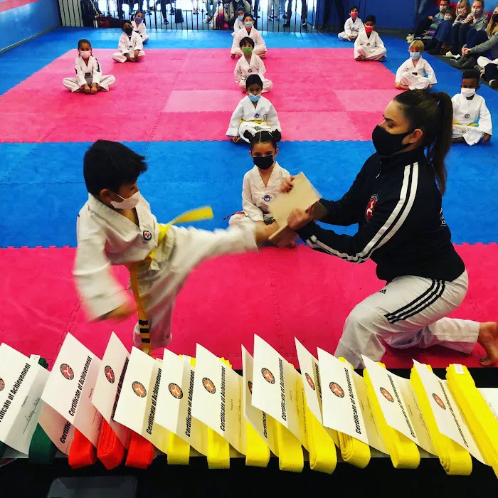 Lima Taekwondo & Brazilian Jiu Jitsu Academy Picture 10