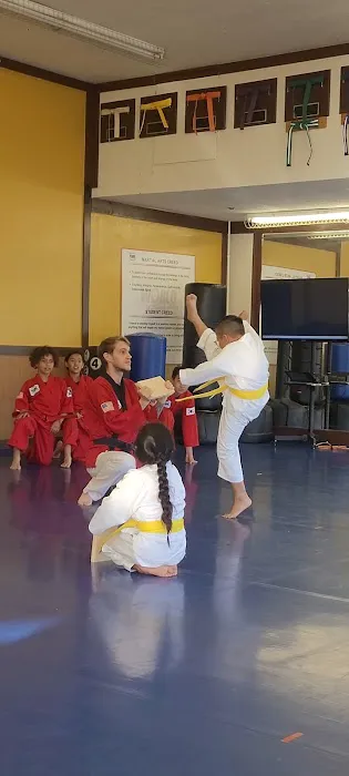 Master Hwang's World Martial Arts Center Picture 1