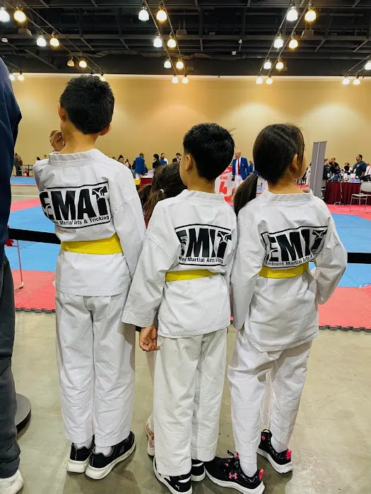 Eminent Martial Arts and Tricking Picture 10