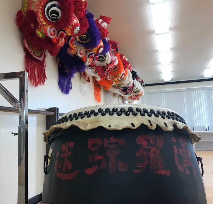 Lion's Pride Kung Fu Picture 1