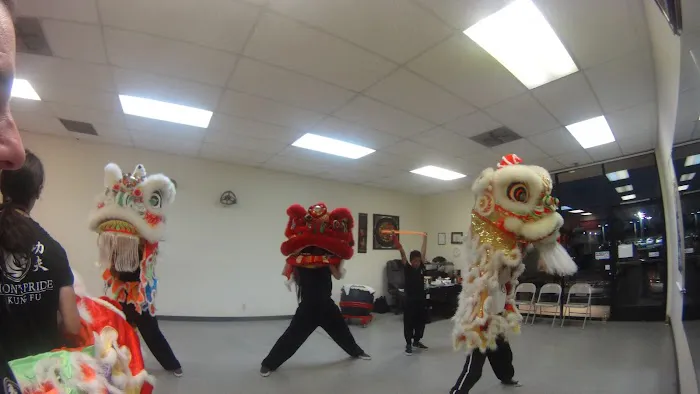 Lion's Pride Kung Fu Picture 9