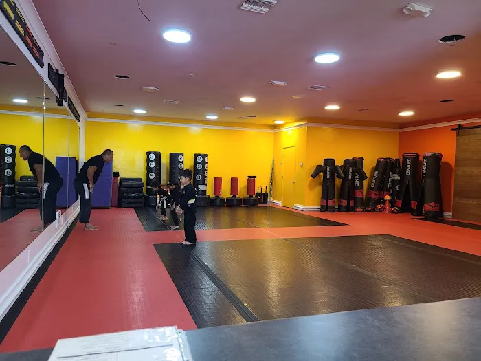 Power of One Martial Arts - Los Altos Picture 8