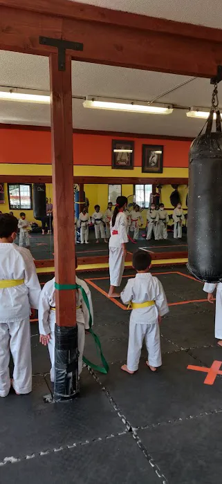 Dolby Soo Bahk Do Karate Picture 3