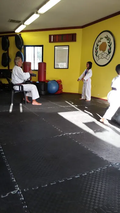 Dolby Soo Bahk Do Karate Picture 2