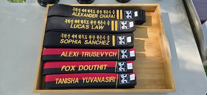 World Power Martial Arts Picture 9