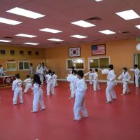 Hallelujah Taekwondo ico