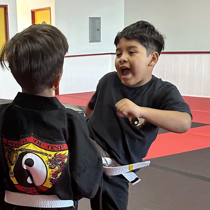 Power of One Martial Arts - Cerritos Picture 10