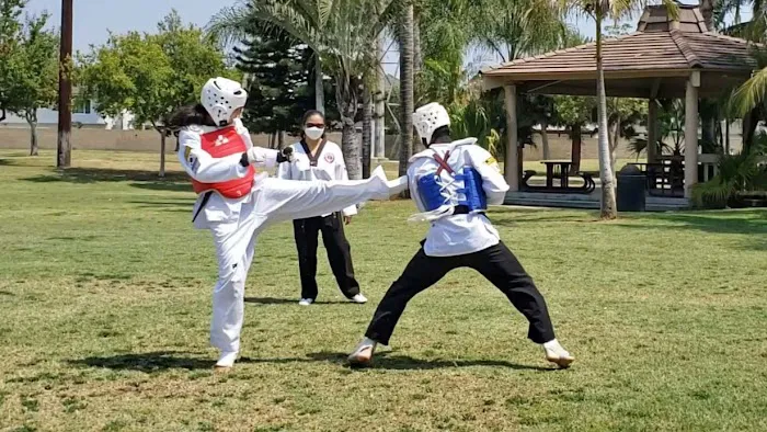 American Martial Arts School Picture 1