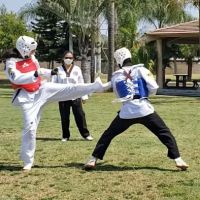 American Martial Arts School ico