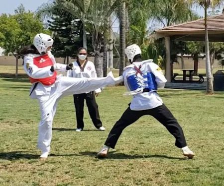 American Martial Arts School