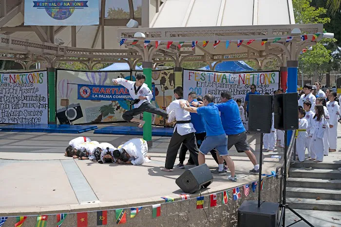 American Martial Arts School Picture 2