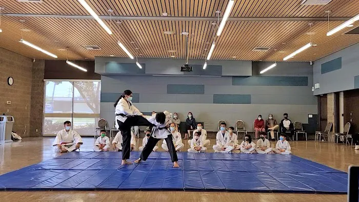 American Martial Arts School Picture 6