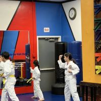 California Taekwondo Committee ico