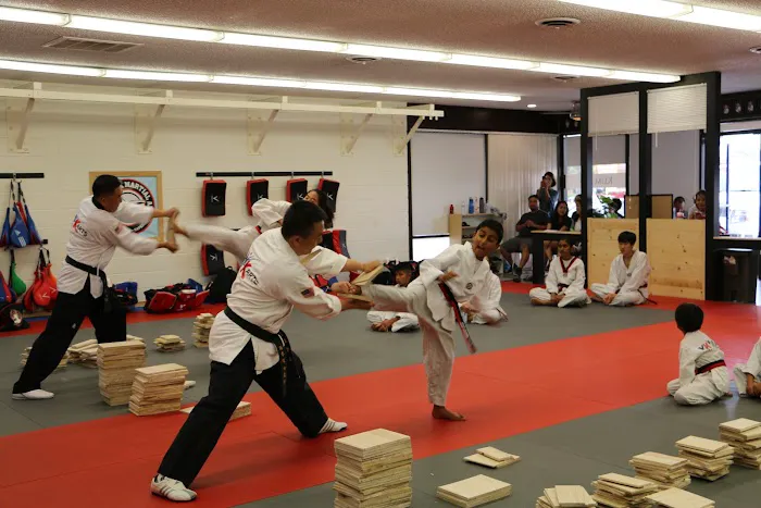 Y K Martial Arts Academy Picture 2