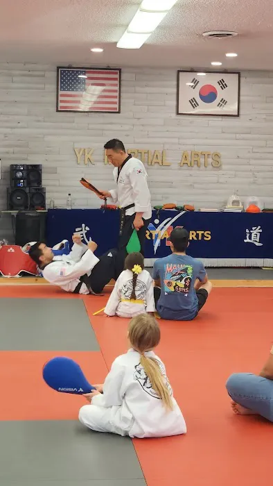 Y K Martial Arts Academy Picture 6