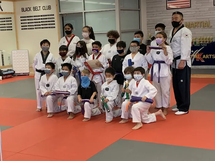 Y K Martial Arts Academy Picture 9