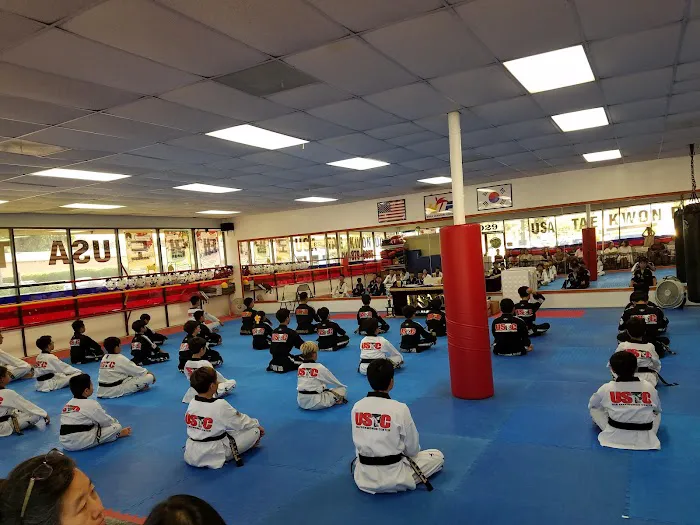 USA Tae Kwon Do Center Picture 3
