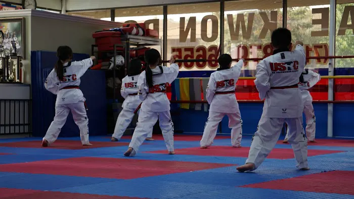 USA Tae Kwon Do Center Picture 9