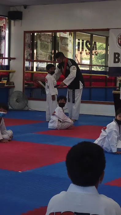 USA Tae Kwon Do Center Picture 7