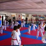 Ferrer Academy of Martial Arts